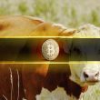 bitcoin’s-latest-rebound-signals-a-healthier,-more-sustainable-bull-market