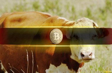 bitcoin’s-latest-rebound-signals-a-healthier,-more-sustainable-bull-market