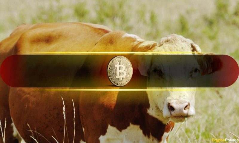 bitcoin’s-latest-rebound-signals-a-healthier,-more-sustainable-bull-market