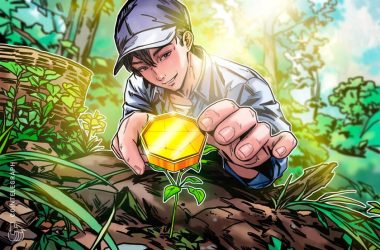 trendspotting-in-crypto:-how-to-discover-winning-projects-before-the-crowd