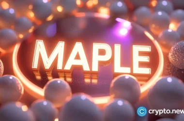 syrup-price-rallies-as-maple-tvl,-staking-market-cap,-whale-purchases-rise