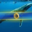 bitcoin-to-$121k-next-week?-mega-whale-wynn-bet-$1.25b-on-it