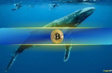 bitcoin-to-$121k-next-week?-mega-whale-wynn-bet-$1.25b-on-it