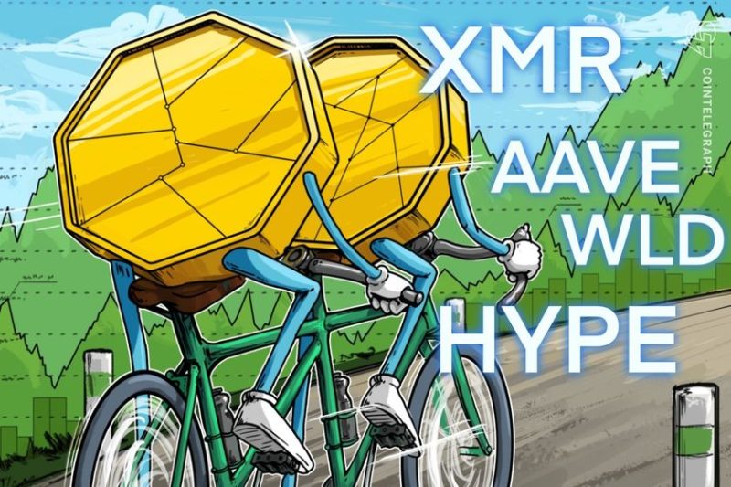 bitcoin-holds-key-support-as-hype,-xmr,-aave,-wld-lead-altcoin-rally