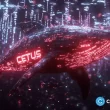 cetus-hack-post-mortem-reveals-overflow-bug-behind-$223m-exploit