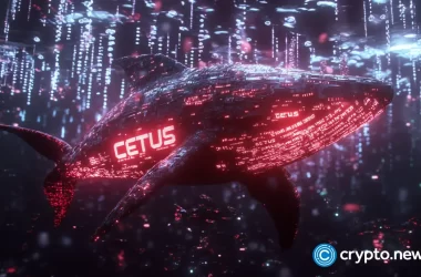 cetus-hack-post-mortem-reveals-overflow-bug-behind-$223m-exploit