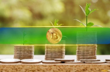 bitcoin-(btc)-profit-taking-still-modest,-no-sign-of-bull-run-ending