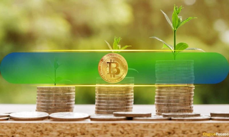 bitcoin-(btc)-profit-taking-still-modest,-no-sign-of-bull-run-ending