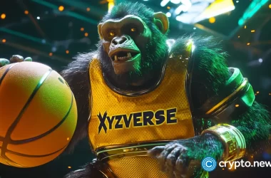 analysts-predict-xmr-and-xyz-could-see-3x-gains-due-to-strong-bitcoin-market-correlation
