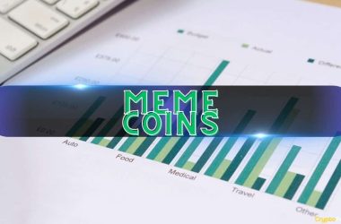 majority-of-crypto-users-start-with-meme-coins-before-expanding-portfolios:-gemini-report