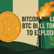 bitcoin-still-bullish-despite-dump:-btc-bull-token-to-explode-in-2025?