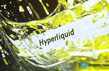 hyperliquid-coin-forms-bullish-pennant-as-momentum-builds:-is-a-breakout-imminent?