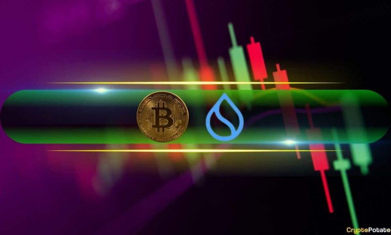 sui-jumps-by-9%-daily,-btc-price-recovers-$5k-(weekend-watch)