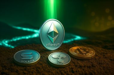 crypto-etf-inflows-climb-to-$11-billion-in-7-weeks-with-ethereum-leading-amid-us-policy-uncertainty