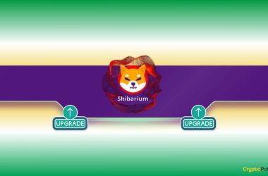 major-announcement-concerning-all-shiba-inu-(shib)-users:-details