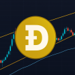will-dogecoin-moon-or-crash?-this-indicator-holds-the-answer