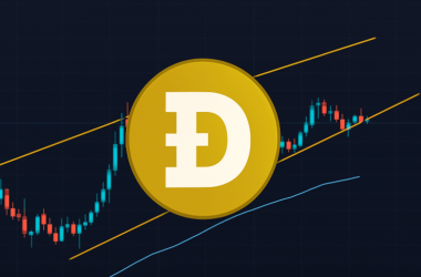 will-dogecoin-moon-or-crash?-this-indicator-holds-the-answer
