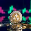 daily-timeframe-says-xrp-price-is-on-the-verge-of-breakout