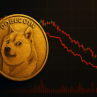 this-analyst-predicted-the-dogecoin-price-crash-–-here’s-the-rest-of-the-forecast