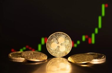 if-patience-had-value,-xrp-holders-would-own-the-market—expert