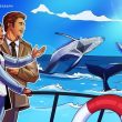 ethereum-whales-are-buying-most-eth-since-2018