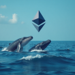 ethereum-staking-skyrockets-as-whales-aggressively-accumulate-eth