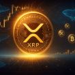 xrp-bullish-signal:-shark-&-whale-wallets-set-new-all-time-high