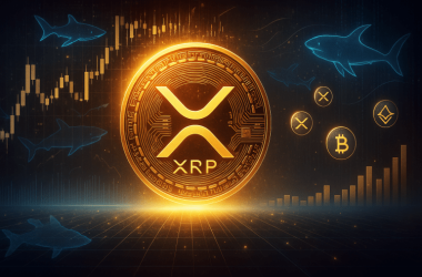 xrp-bullish-signal:-shark-&-whale-wallets-set-new-all-time-high