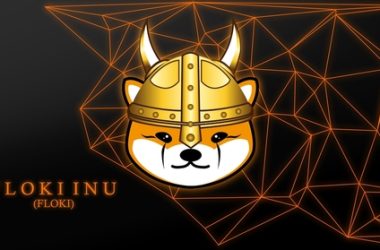 floki-inu-price-forecast:-has-floki-hit-bottom?
