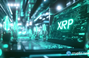 xrp’s-safe,-for-now;-ripple-lawyer-dismisses-government-seizure-claims