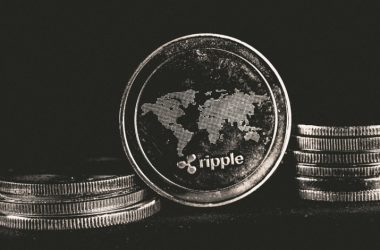 xrp-daily-new-addresses-plunge-80%-in-2025-—-bearish-on-chain-metrics-raise-alarm