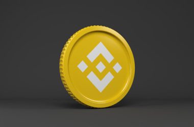 the-bnb-paradox:-bearish-breakdown-meets-bullish-flag,-which-will-prevail?