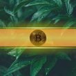 $1.5-billion-flows-into-btc-etfs-this-week as-bitcoin-double-taps-$108k