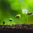 crypto-prediction-platform-kalshi-valued-at-$2b-after-latest-funding-round