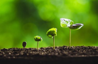 crypto-prediction-platform-kalshi-valued-at-$2b-after-latest-funding-round