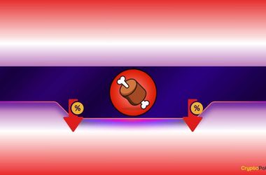 shiba-inu-themed-meme-coin-tanks-after-okx-says-goodbye:-details