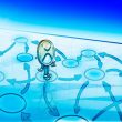 xrp-news-update:-traders-predict-consolidation-to-$2.35-amid-etf-speculation