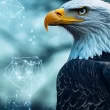 sec-eyes-single-track-crypto-etf-listings-in-quiet-talks-with-exchanges