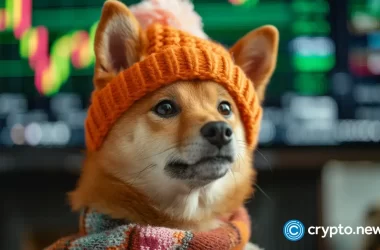 dogwifhat-coin-range-bound-between-$030-and-$1.35:-is-an-expansion-imminent?