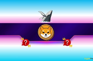 shiba-inu-(shib)-outpaces-ethereum-(eth)-and-pepe-(pepe):-but-not-in-the-way-you-might-think