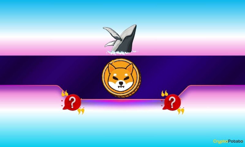 shiba-inu-(shib)-outpaces-ethereum-(eth)-and-pepe-(pepe):-but-not-in-the-way-you-might-think