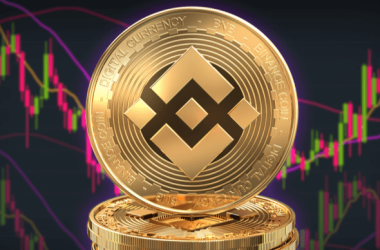 binance’s-yzi-labs-backs-us-based-bnb-treasury-firm-targeting-ipo