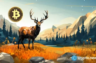 kazakhstan-to-invest-part-of-its-treasury-into-crypto-assets