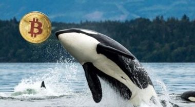wallet-linked-to-satoshi-era-bitcoin-whale-moves-9,000-btc-to-galaxy-digital