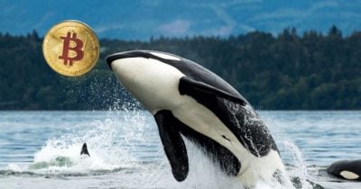 wallet-linked-to-satoshi-era-bitcoin-whale-moves-9,000-btc-to-galaxy-digital
