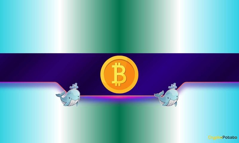 bitcoin-whales-scoop-248k-btc-this-month-as-bulls-eye-$200k