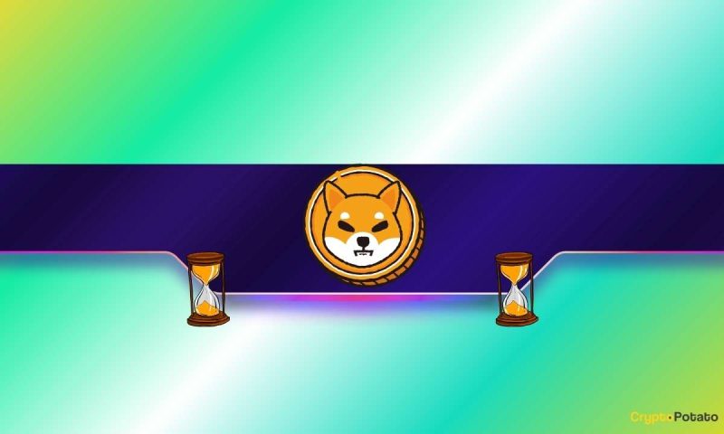 shiba-inu-(shib)-spikes-15%-weekly-–-so-why-are-most-holders-still-losing?