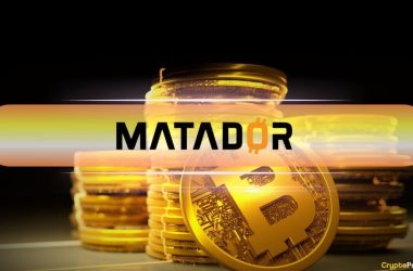 matador-aims-to-buy-6,000-btc,-eyes-top-20-spot-by-2027