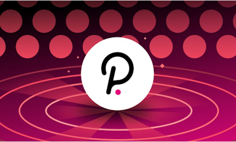 polkadot-unveils-bold-vision-for-proof-of-personhood-identity-system