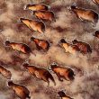 bitcoin-bull-run-'likely-close-to-over'-says-trader-as-xrp-flips-mcdonald's